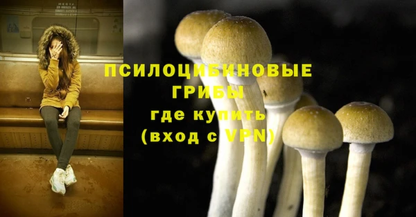 кокаин премиум Белокуриха