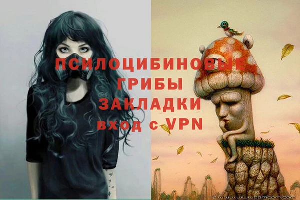 спайс Сатка