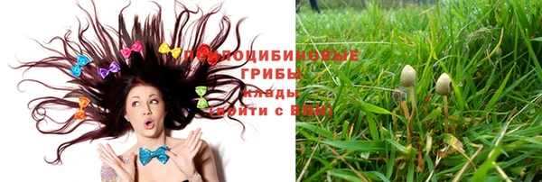 СК Белоозёрский