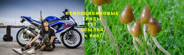 кокаин премиум Белокуриха